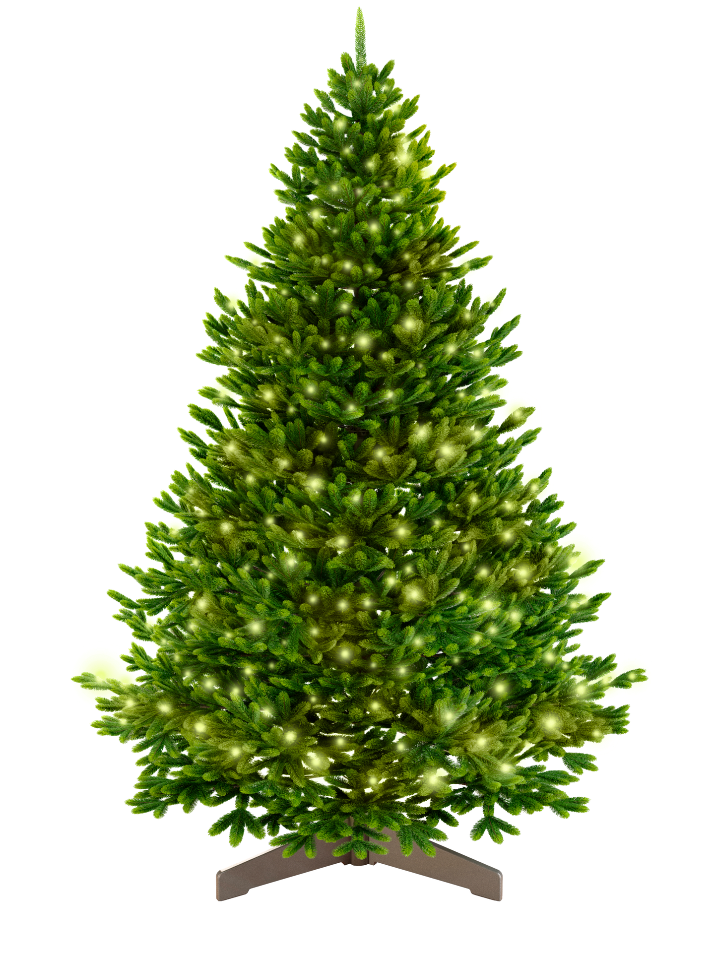 Nordfichte