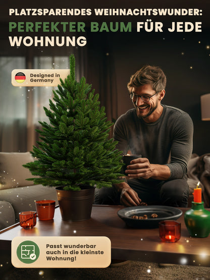 Nordfichte am Pot