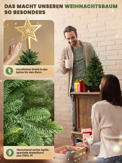 Weihnachtsbaum Nordmanntanne im Topf