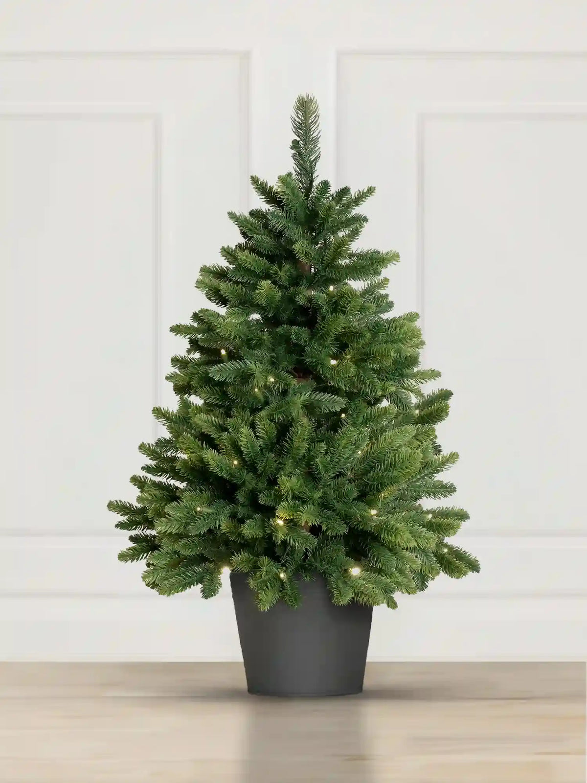 Weihnachtsbaum Nordmanntanne im Topf