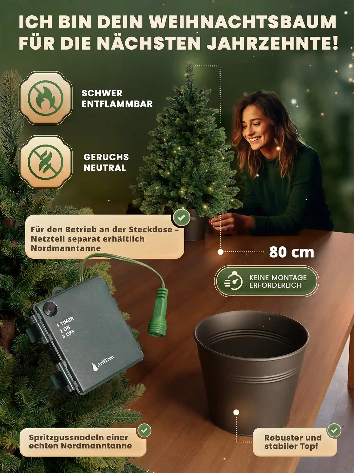 Sapin de Nordmann en pot