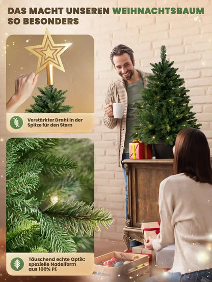 Sapin de Nordmann en pot