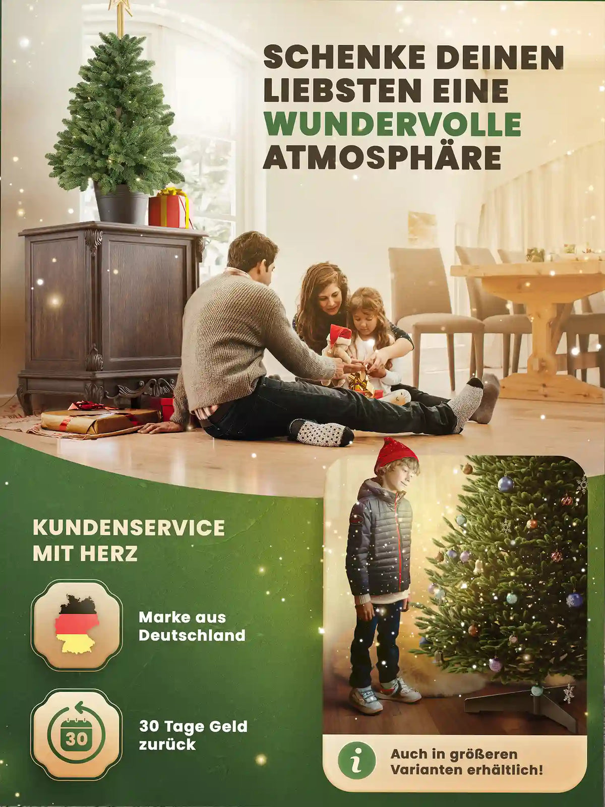 Sapin de Nordmann en pot