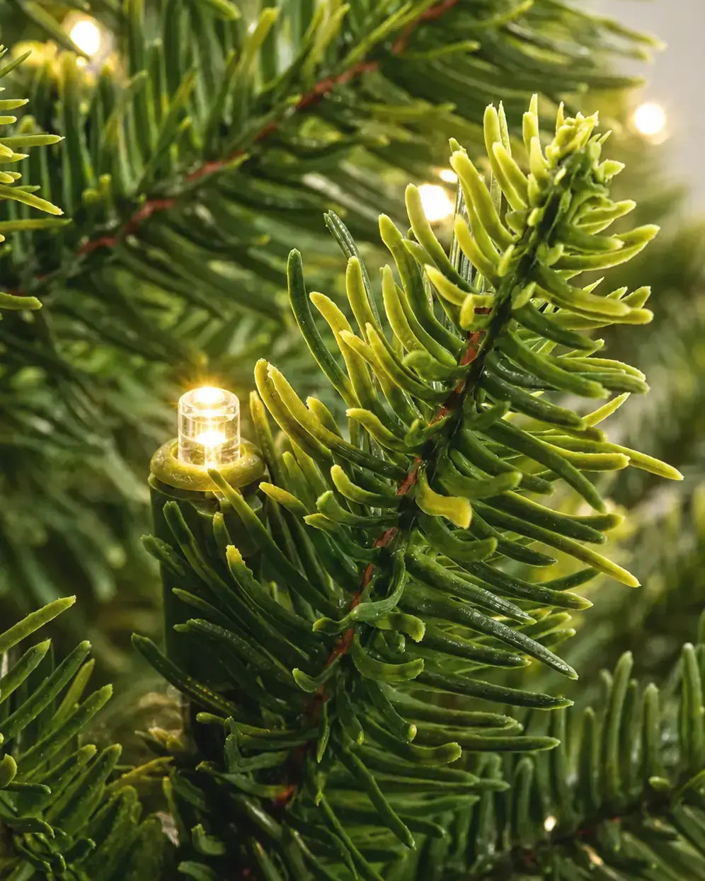 Gros plan d’une ampoule LED ArtiTree