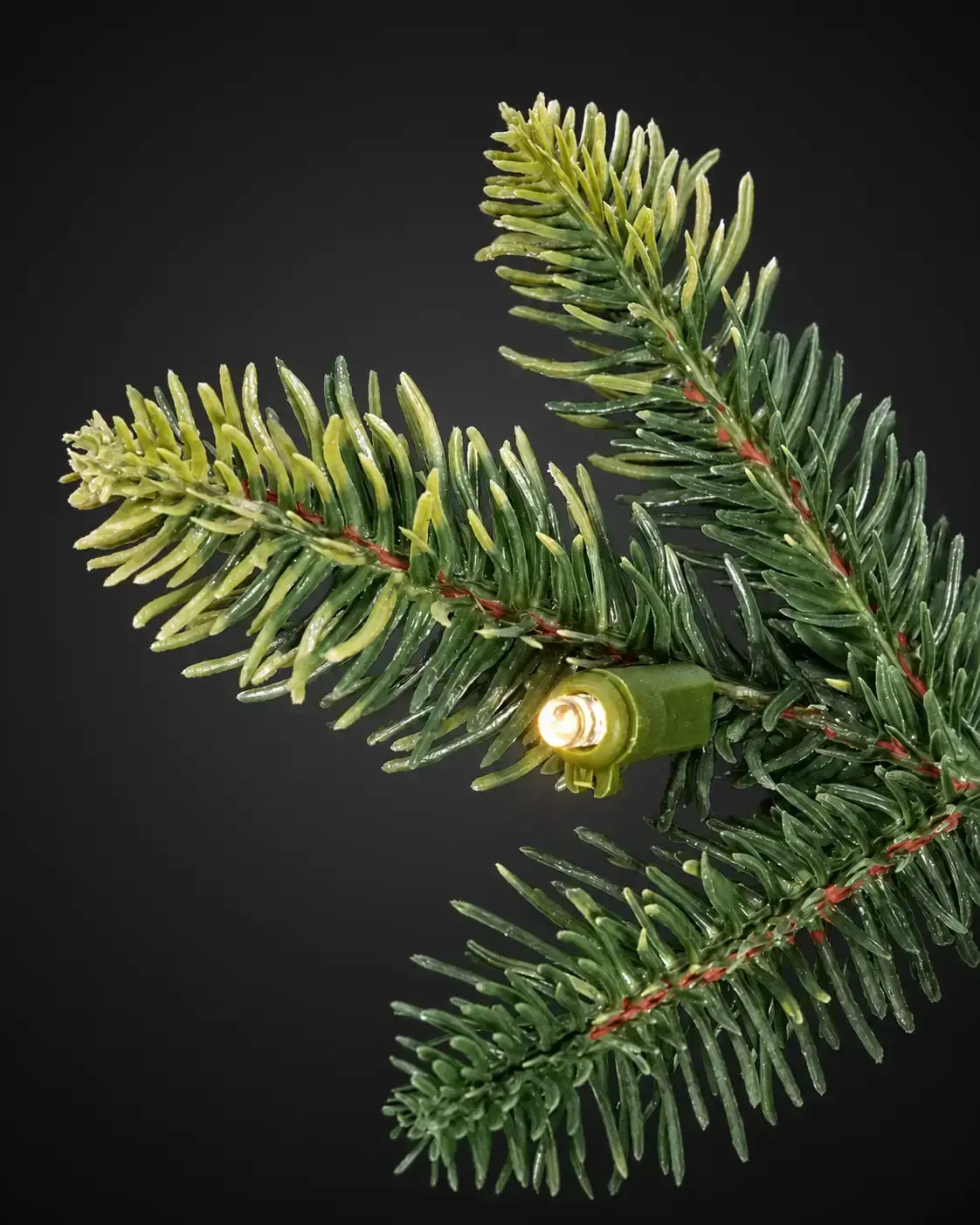 Integriertes LED-Lämpchen einer Nordmanntanne von ArtiTree
