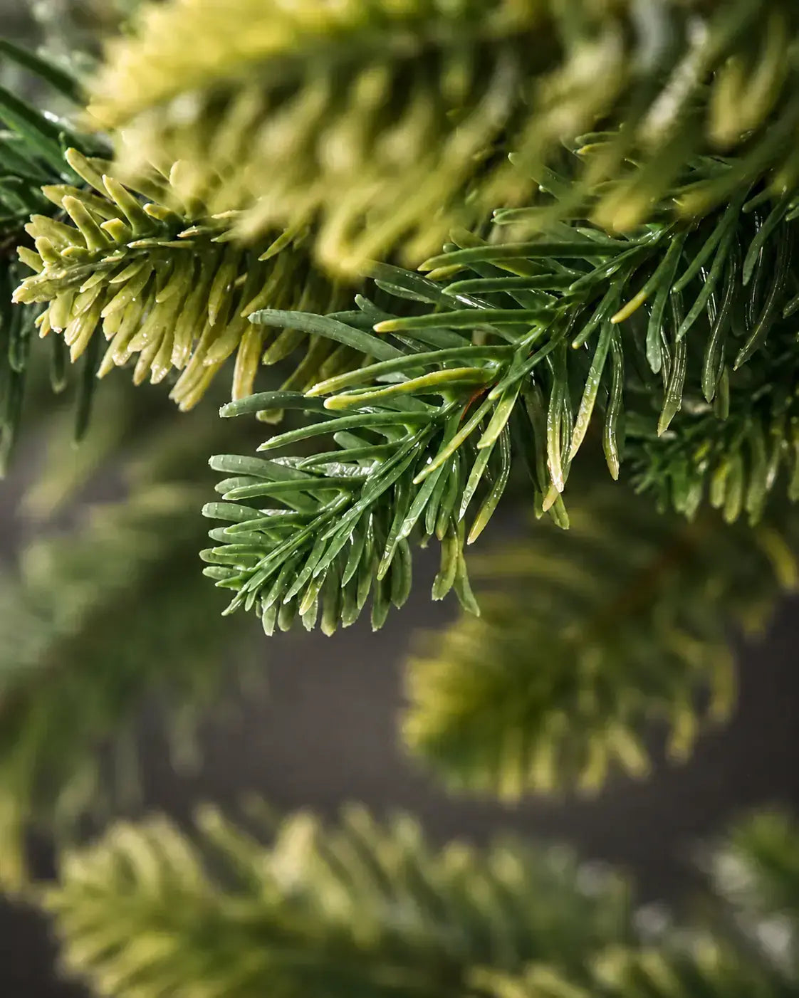 Nadeln der künstlichen Nordmanntanne von ArtiTree im Detail